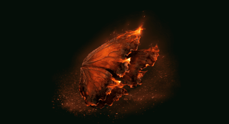 Did Messmer Kill Melina – Elden Ring DLC Melina and Messmer Lore ...