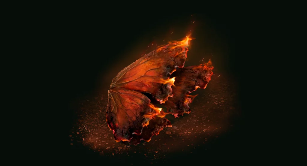 Mystery of the Butterflies in Elden Ring DLC