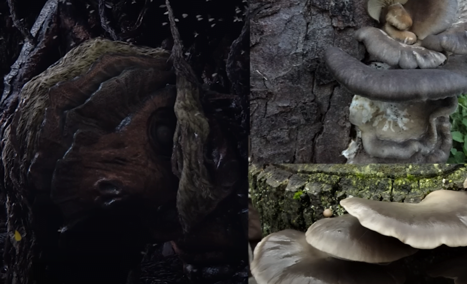 Godwyn and the Elden Ring Mushroom Theory