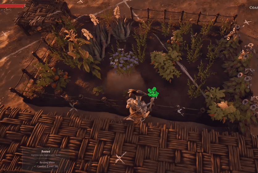 How to Get Flax in Windrose (The Tricky Resource)